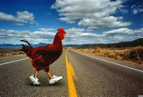 chickenroadtips Concept Art